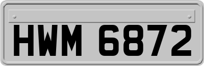 HWM6872