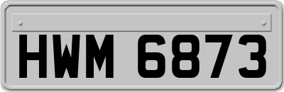 HWM6873