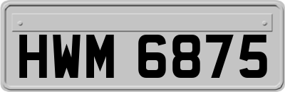 HWM6875