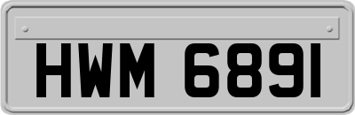 HWM6891
