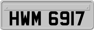 HWM6917