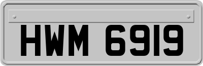 HWM6919