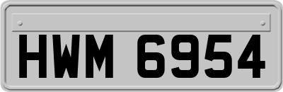 HWM6954