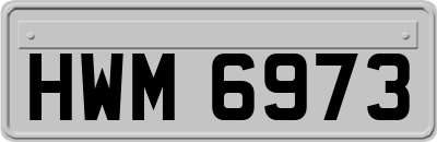 HWM6973