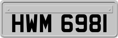 HWM6981