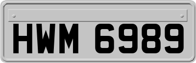HWM6989