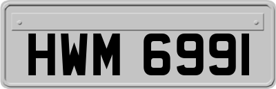 HWM6991