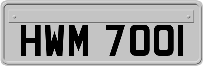 HWM7001