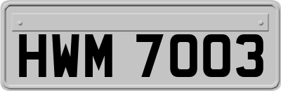 HWM7003