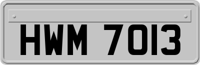 HWM7013