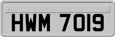 HWM7019