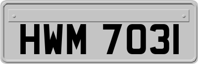 HWM7031