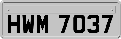HWM7037