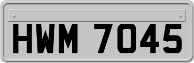 HWM7045