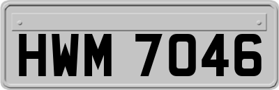 HWM7046