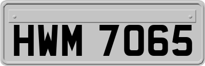 HWM7065