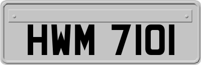 HWM7101