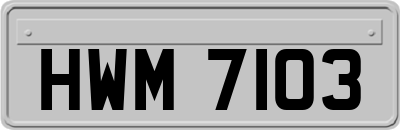 HWM7103