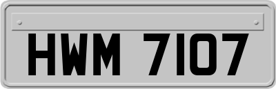HWM7107