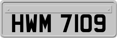HWM7109