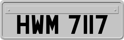 HWM7117
