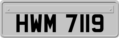 HWM7119