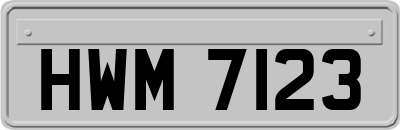 HWM7123