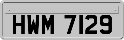HWM7129