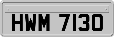 HWM7130
