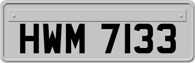 HWM7133