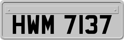 HWM7137