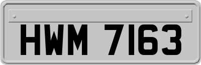 HWM7163