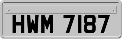 HWM7187