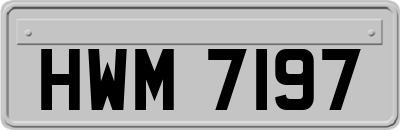 HWM7197