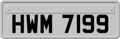HWM7199