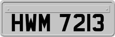 HWM7213