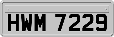 HWM7229