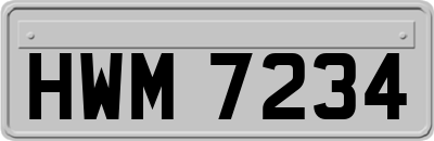HWM7234