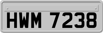 HWM7238