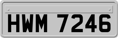 HWM7246