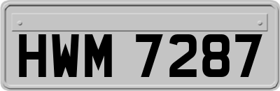 HWM7287