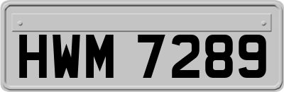 HWM7289