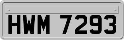 HWM7293