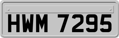 HWM7295