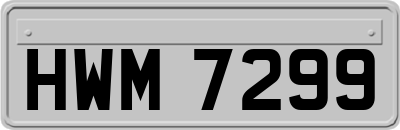 HWM7299
