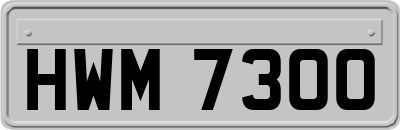 HWM7300