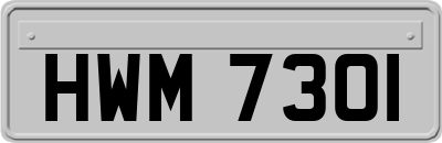 HWM7301
