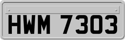 HWM7303