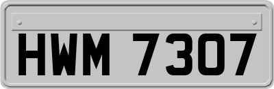 HWM7307