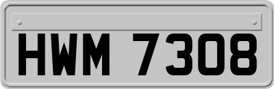 HWM7308